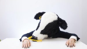 証券会社に口座開設を申し込む【インデックス投資をはじめよう②】