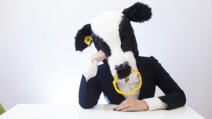 無リスク資産、リスク資産の割合【インデックス投資をはじめよう⑤】 無リスク資産、リスク資産の割合【インデックス投資をはじめよう⑤】